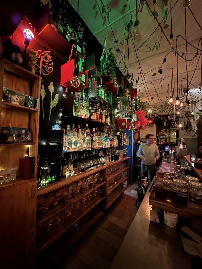 Rückbar mit hunderten Flaschen, roten Regalboxen und Kreidezeichnungen von Pflanzen an der schwarzen Wand